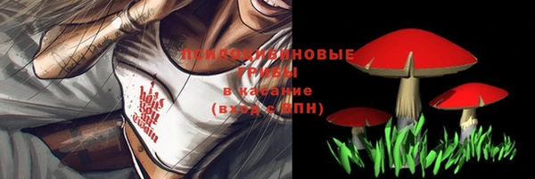 дурь Бронницы
