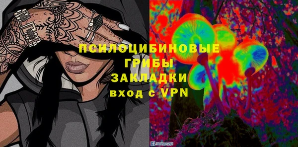 дурь Бронницы