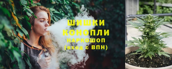 дурь Бронницы