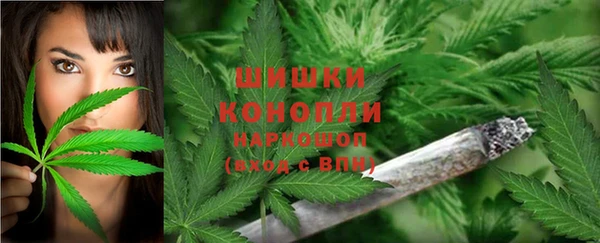 дурь Бронницы