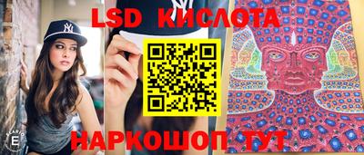кокс Кингисепп