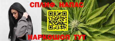 кокс Кингисепп