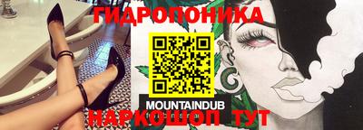 хмурый Аргун