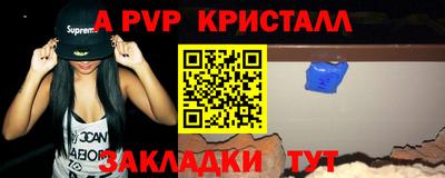 кокс Кингисепп