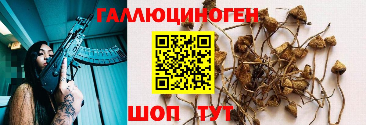 Галлюциногенные грибы Psilocybe  Псилоцибиновые грибы GOLDEN TEACHER  Вход с VPN  Бутурлиновка 